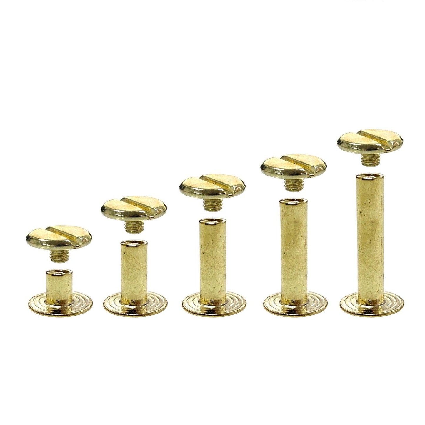 Rivets à visser style "Chicago" Or