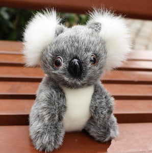 Peluche Koala - petit